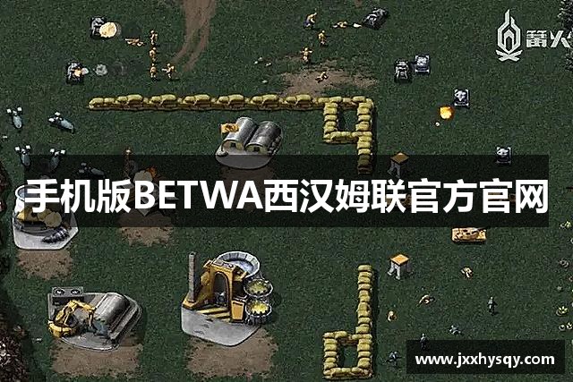 手机版BETWA西汉姆联官方官网